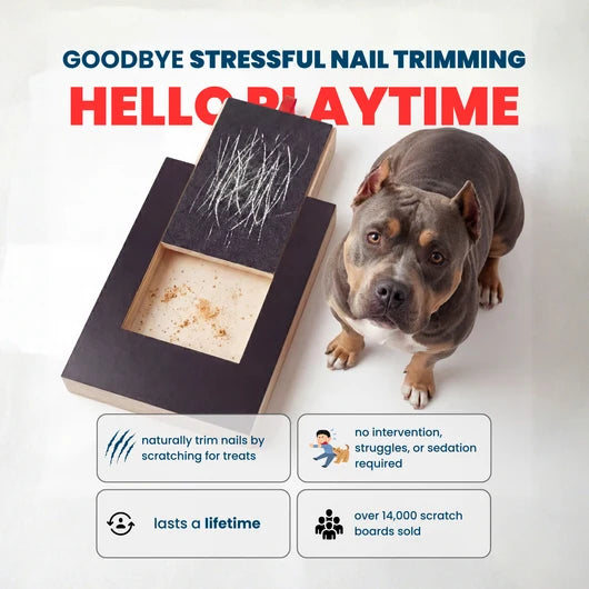 playnails - nail scratch board