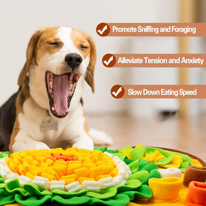 Dog Feeding Snuffle Mat – Interactive & Slow Feeder